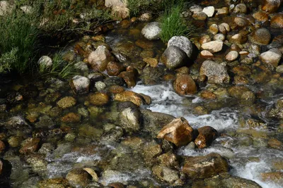 DSC_4289 (Large).JPG